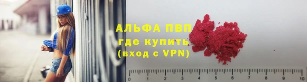 крисы Дмитров