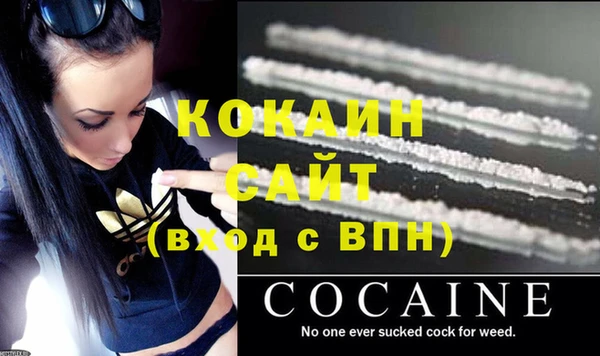 прущие крисы Ельня