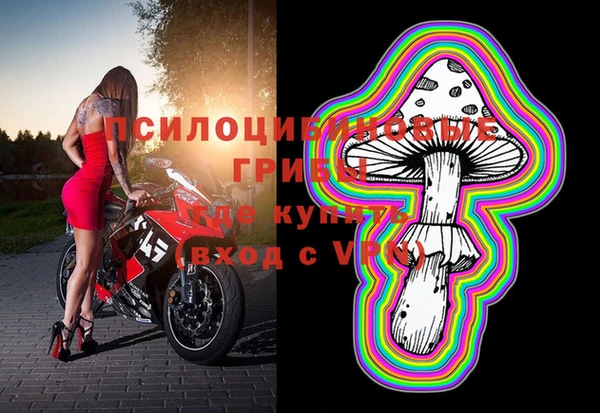 крисы Дмитров