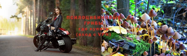 бутик Дмитровск